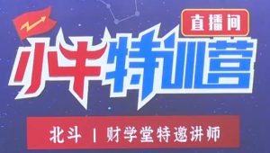 【北斗老师】《北斗老师157期5天小牛特训营》网盘课程下载-爱雅微课