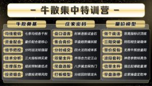 【袁博】《2025年袁博牛散特训营视频+资料+指标》网盘课程下载-爱雅微课