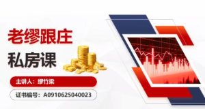 【缪竹梁】《高能智投缪竹梁-高阶妙手实战班 老缪跟庄私房课 指标资料》网盘课程下载-爱雅微课