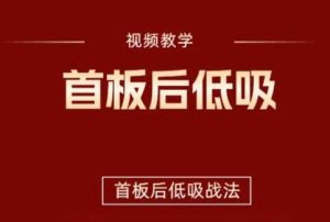 【精品课程】《首板后低吸战法 视频+指标》网盘课程下载-爱雅微课
