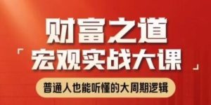 【任泽平】《任泽平财富之道：宏观实战大课》网盘课程下载-爱雅微课