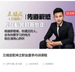 【王培威】《三线定乾坤之职业盘手内训课程》网盘课程下载-爱雅微课