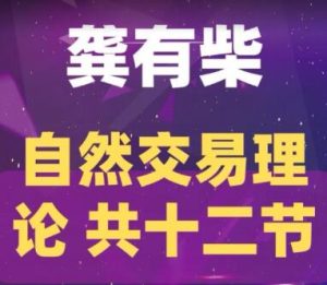 【龚有柴】《龚有柴自然交易理论》网盘课程下载-爱雅微课