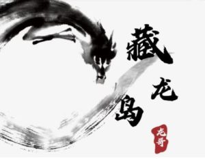 【游资混江龙】《游资混江龙/炼金士 2026年1月起游资训练营 龙哥藏龙岛 视频+课件》网盘课程下载-爱雅微课
