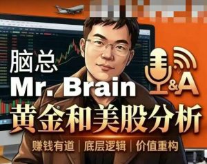 【脑总】《脑总Mr.Brain黄金美股投资分析课程》网盘课程下载-爱雅微课