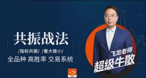 【飞龙老师】《飞龙交易进阶课:共振战法》网盘课程下载-爱雅微课
