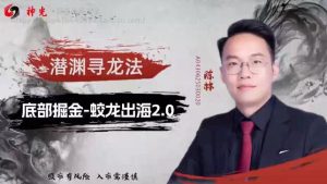【陈林】《神光陈林底部擒龙连板擒龙龙头战法系统课+指标资料》网盘课程下载-爱雅微课