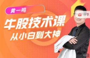 【黄一鸣】《黄一鸣 牛股技术 实操课 15节》网盘课程下载-爱雅微课