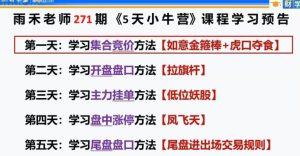 【雨禾】《雨禾小牛特训营5天公开课》网盘课程下载-爱雅微课
