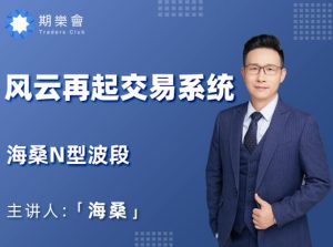 【海桑】《海桑N型波段之风云再起交易系统》网盘课程下载-爱雅微课