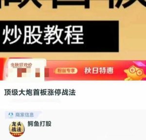 【鳄鱼打股】《鳄鱼打股顶级大炮首板涨停战法视频课》网盘课程下载-爱雅微课