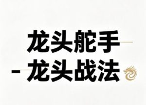 【龙头舵手】《龙头舵手-龙头战法课程 视频+文档》网盘课程下载-爱雅微课