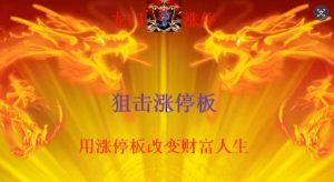 【清北游资】《清北龙门游资内部培训课程》网盘课程下载-爱雅微课