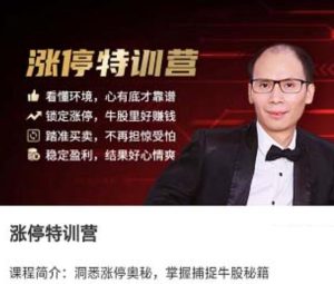【股谱老王】《王建涨停特训营》网盘课程下载-爱雅微课